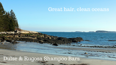 Seaweed Shampoo Bars- Great Hair, Clean Oceans