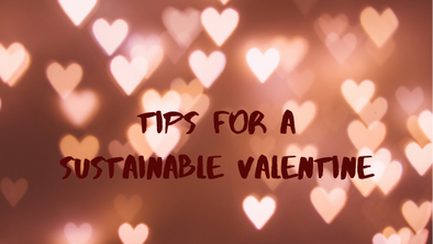 Zero Waste Tip- Celebrate Valentine's Day Sustainability With Kids