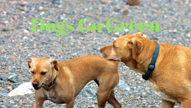 Dogs Go Green