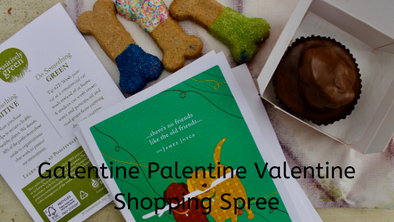 My Galentine/Palentine/Valentine Shopping Spree