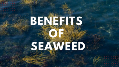 Seaweed and Stress