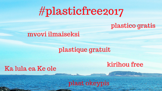 Easy Tips To Help You Go Plastic Free and Zero Waste