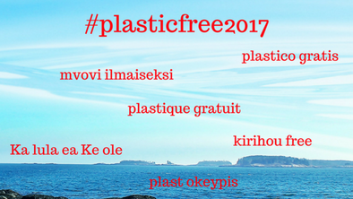 Easy Tips To Help You Go Plastic Free and Zero Waste