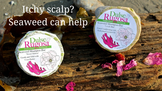 Seaweed Can Help An Itchy Scalp