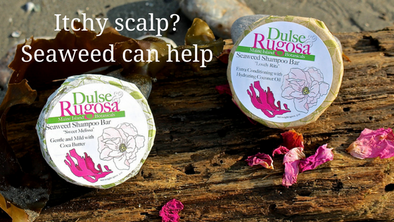 Seaweed Can Help An Itchy Scalp