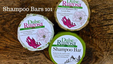 Shampoo Bars 101