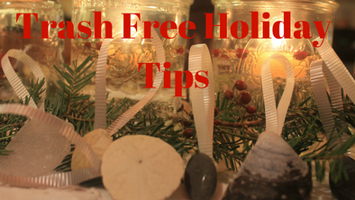 Have a Holly, Trash Free Holiday and a Plastic Free New Year