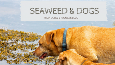 WOOF for Seaweed