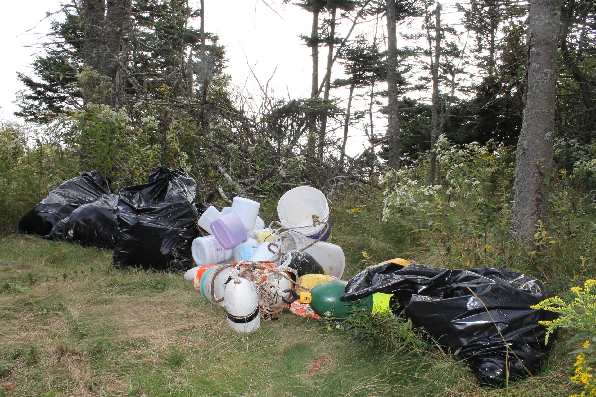 Plastic Free Friday- Inspiration Is Everywhere