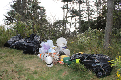 Plastic Free Friday- Inspiration Is Everywhere