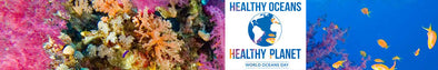 World Ocean Day