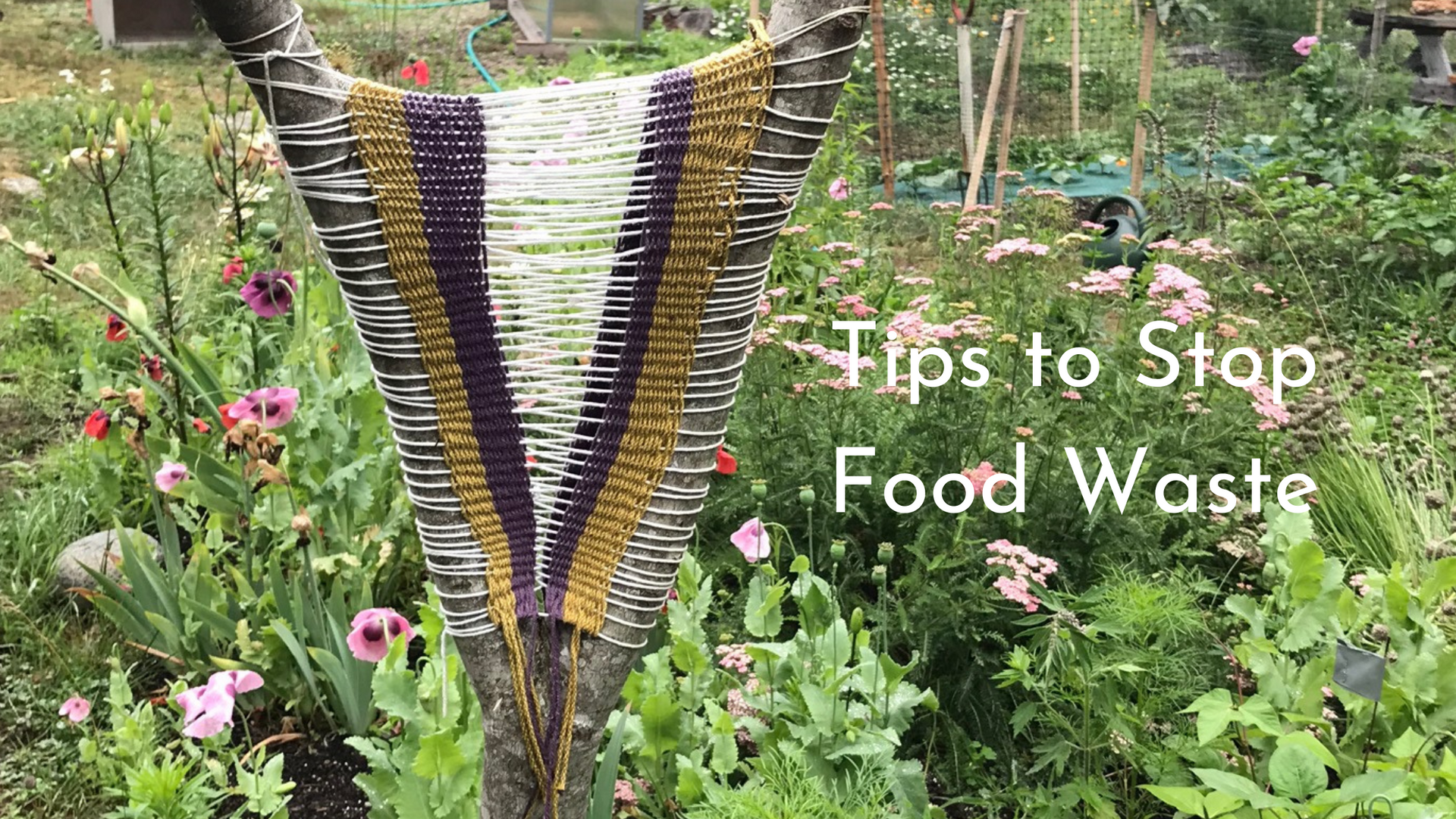 Food Waste Free Tips for October