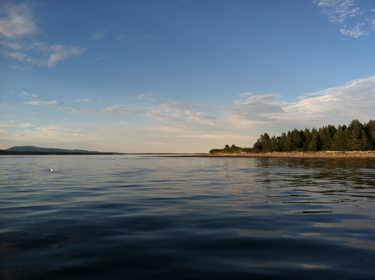 Stich Meditation On Gotts Island